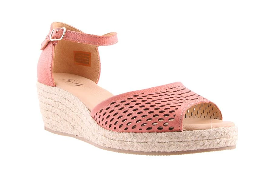 DAY CORAL 3 DAY CORAL