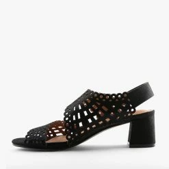 JOAN BLACK -shoe Shop S1697 3jpg