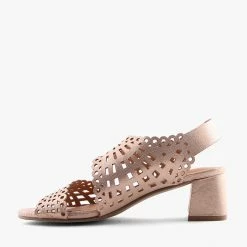 JOAN CHAMPAGNE -shoe Shop S1698 3jpg