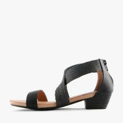 SUS BLACK -shoe Shop S1707 3